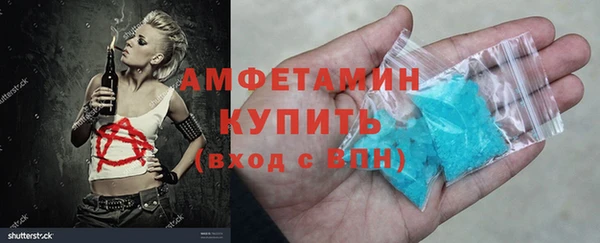 мет Алексин