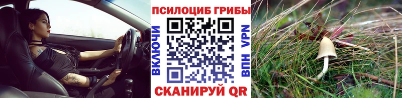 Галлюциногенные грибы Cubensis Тотьма