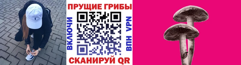 Псилоцибиновые грибы Psilocybine cubensis  купить наркотик  сайты даркнета наркотические препараты  Тотьма 